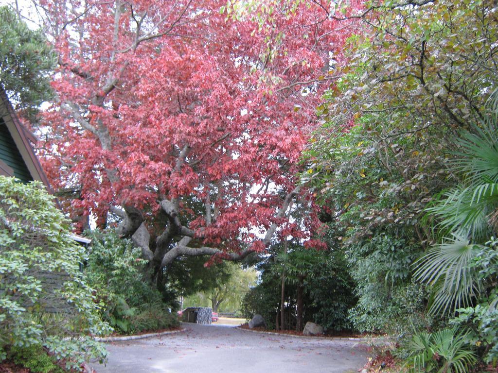 Creel Lodge Turangi Buitenkant foto