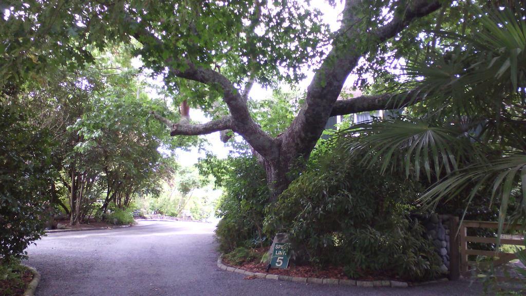 Creel Lodge Turangi Buitenkant foto